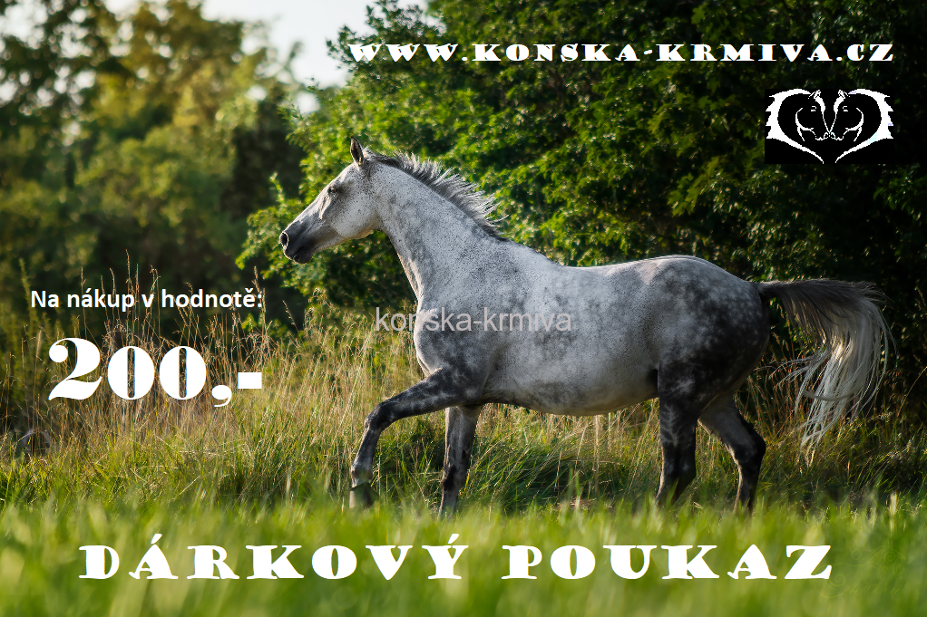 Dárkový poukaz - 200kč